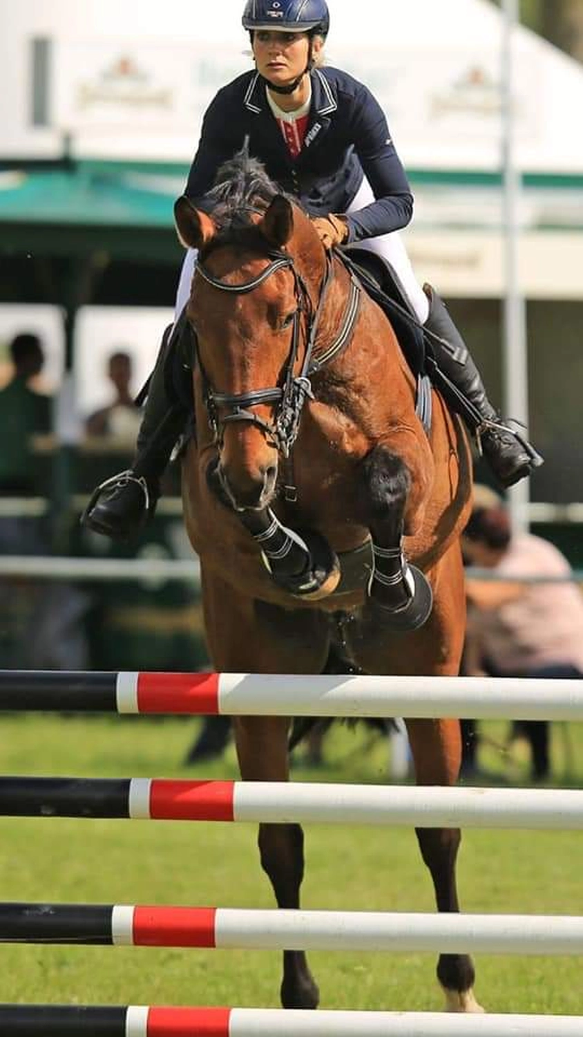 Reitsport Bachmann - Reiten/Turnier Präsentationsbild
