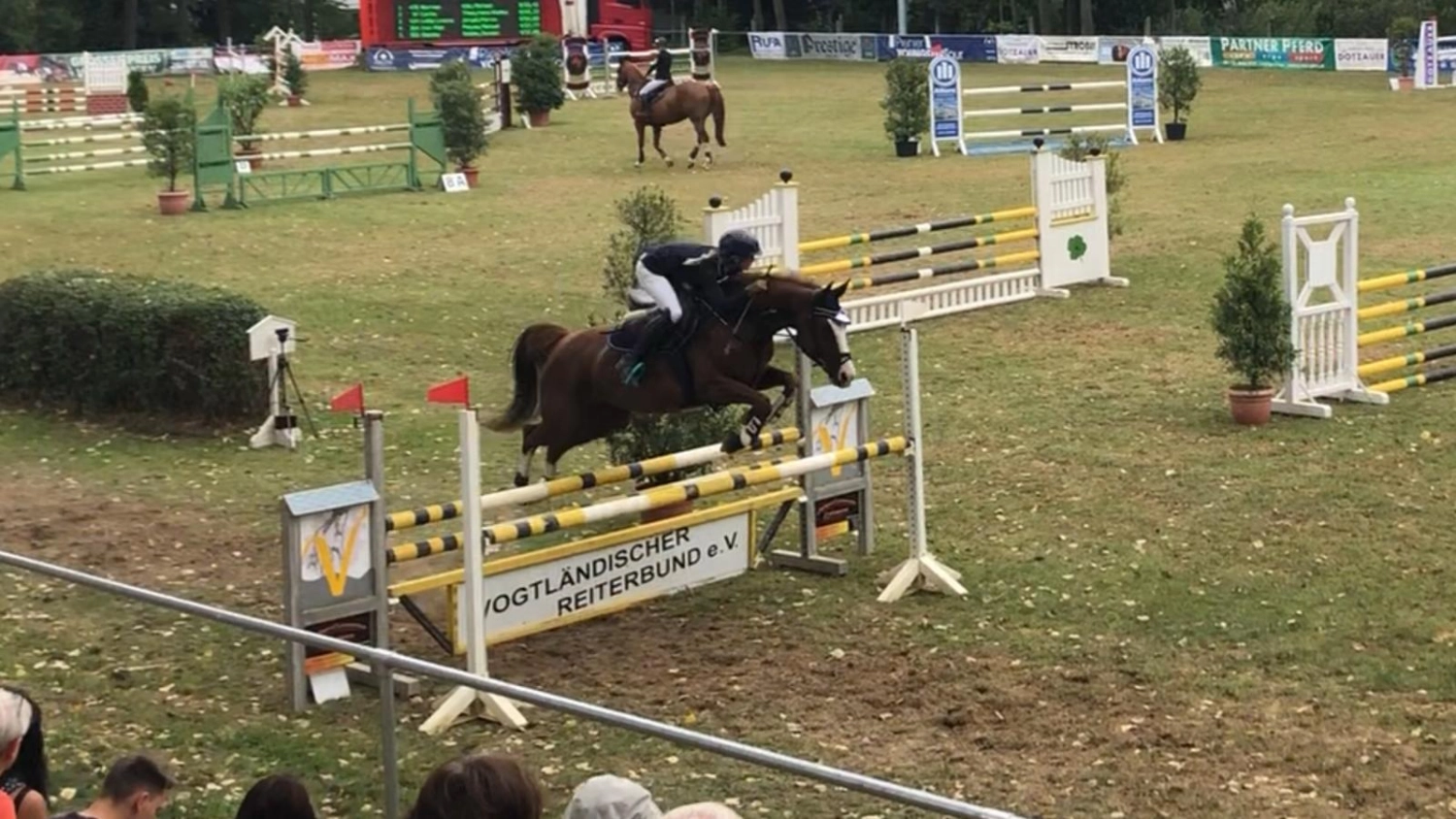 Reitsport Bachmann - Reiten/Turnier Präsentationsbild