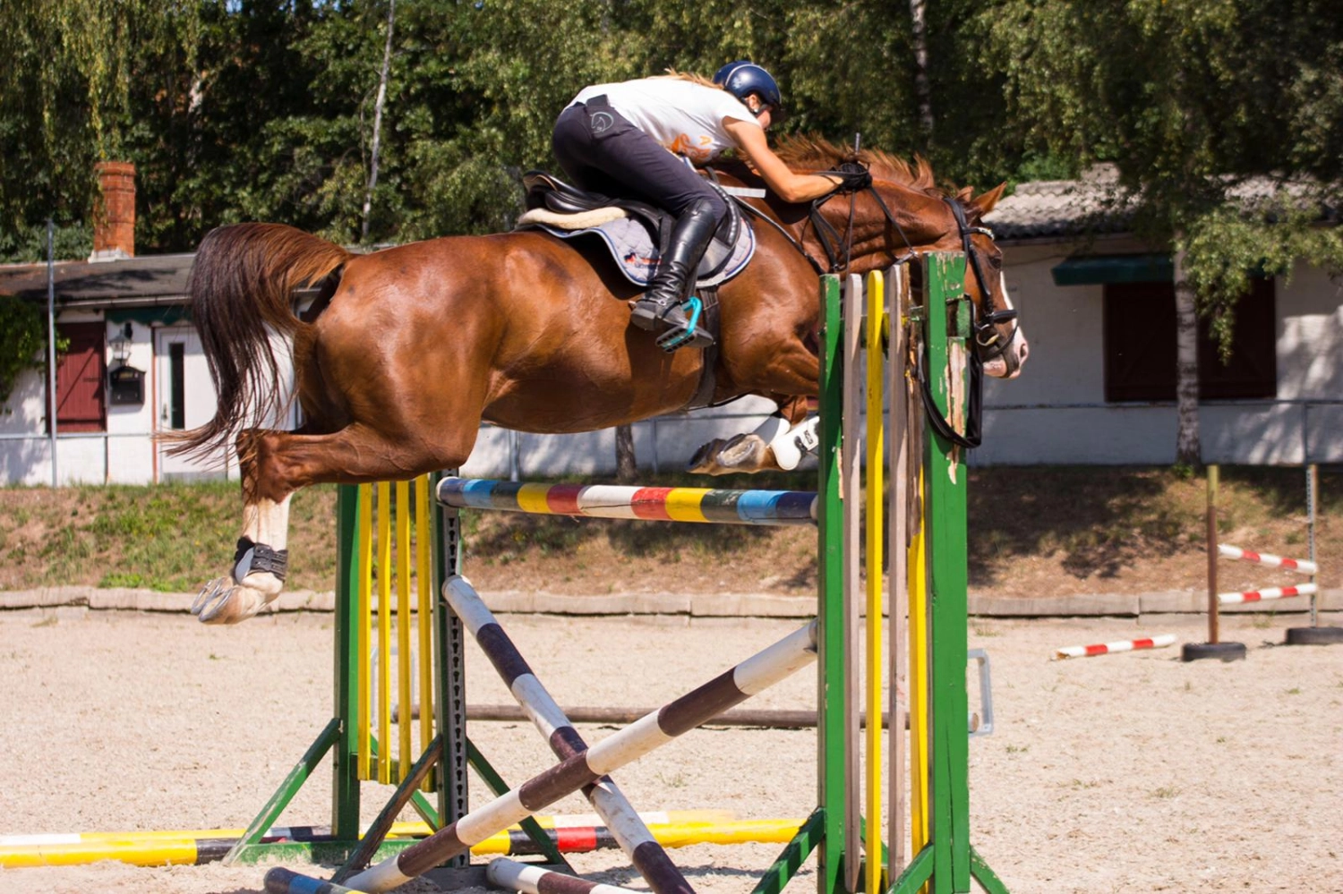 Reitsport Bachmann - Reiten/Turnier Präsentationsbild