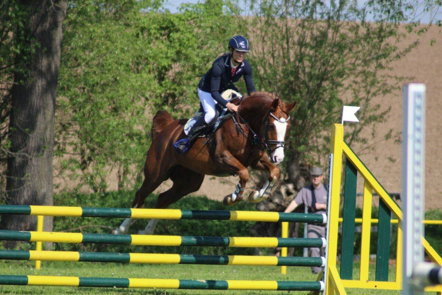 Reitsport Bachmann - Reiten/Turnier Präsentationsbild