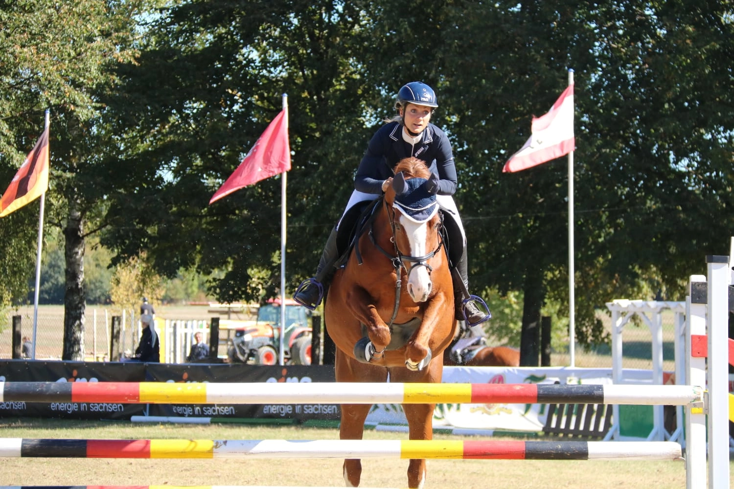 Reitsport Bachmann - Reiten/Turnier Präsentationsbild