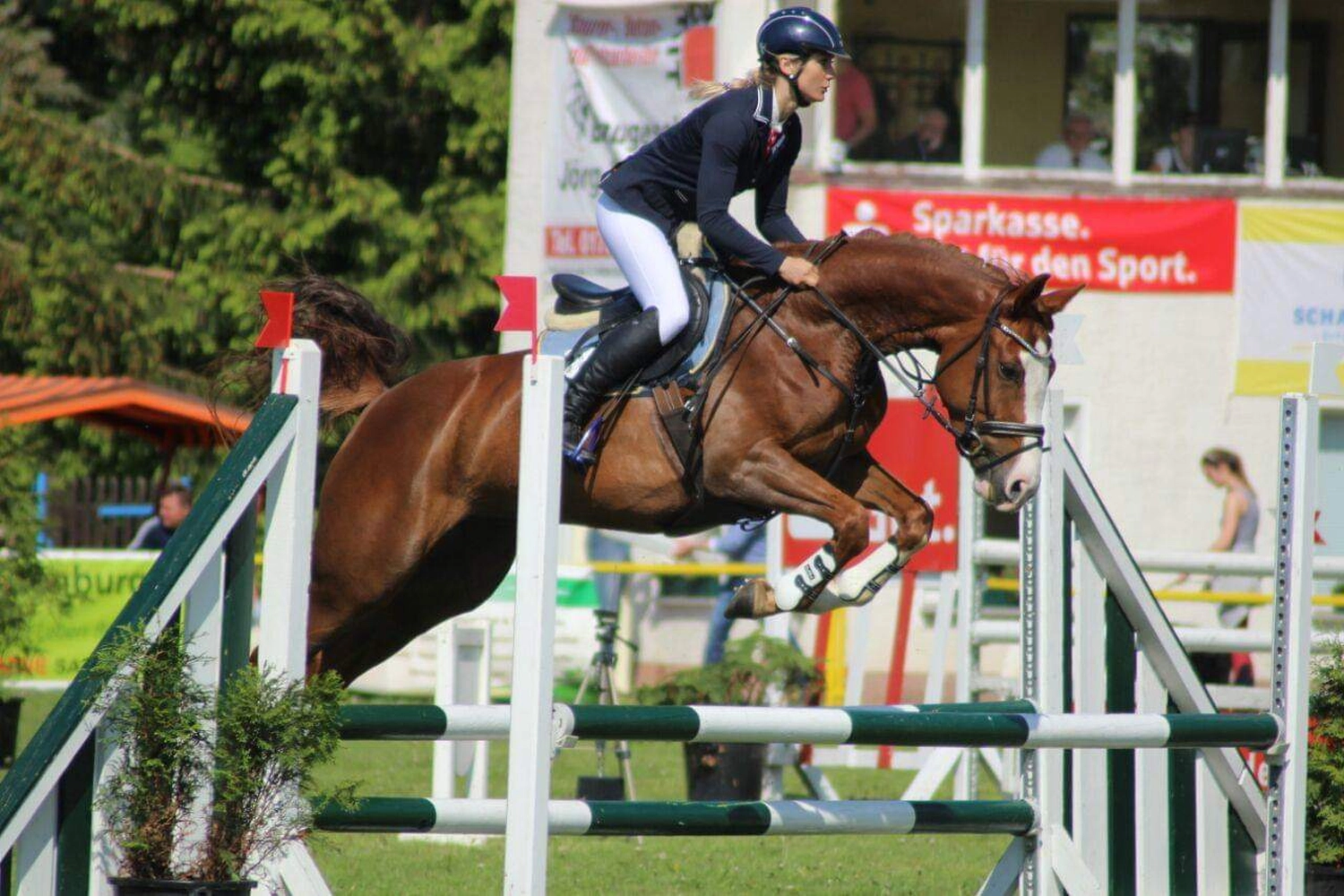 Reitsport Bachmann - Reiten/Turnier Präsentationsbild