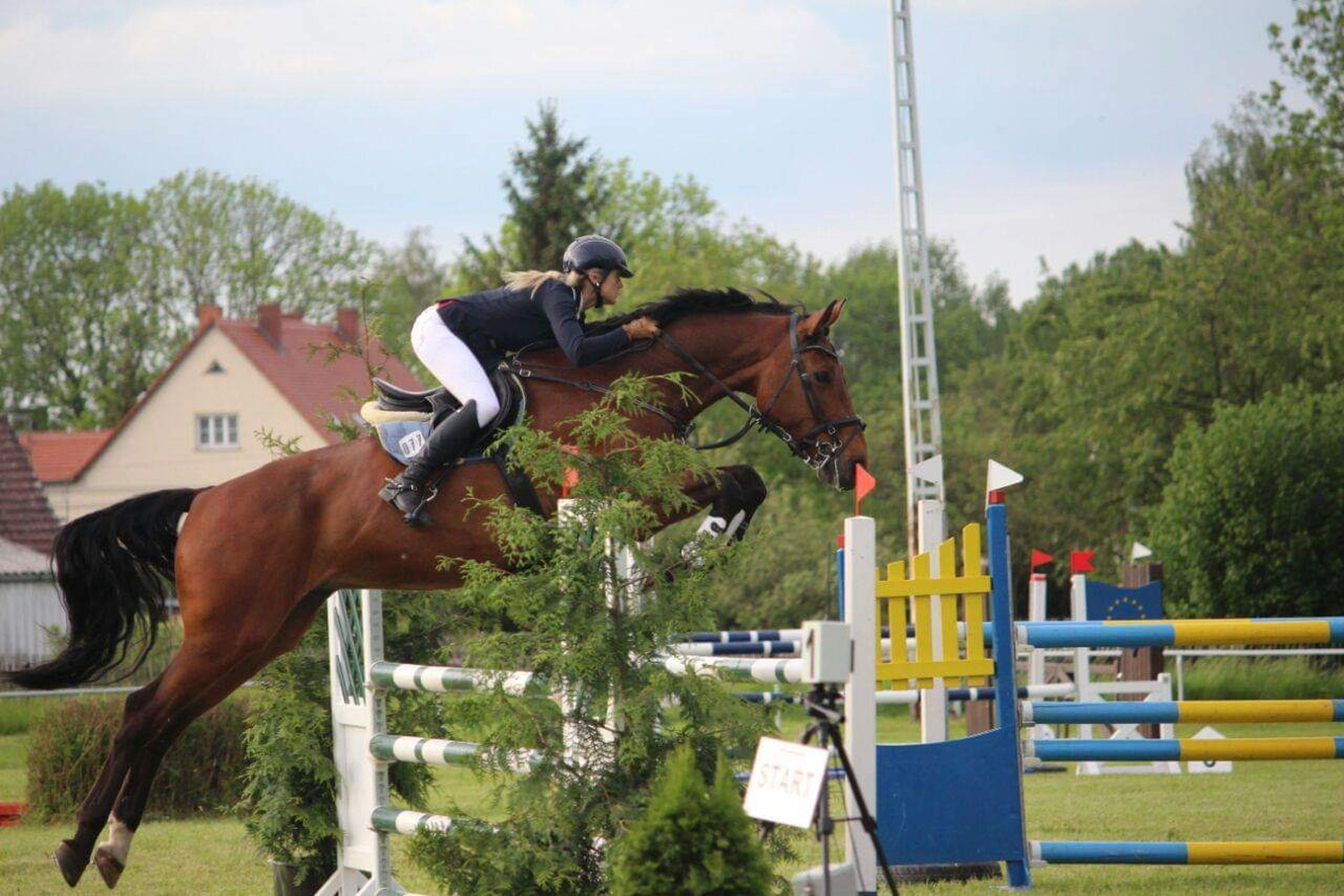 Reitsport Bachmann - Reiten/Turnier Präsentationsbild