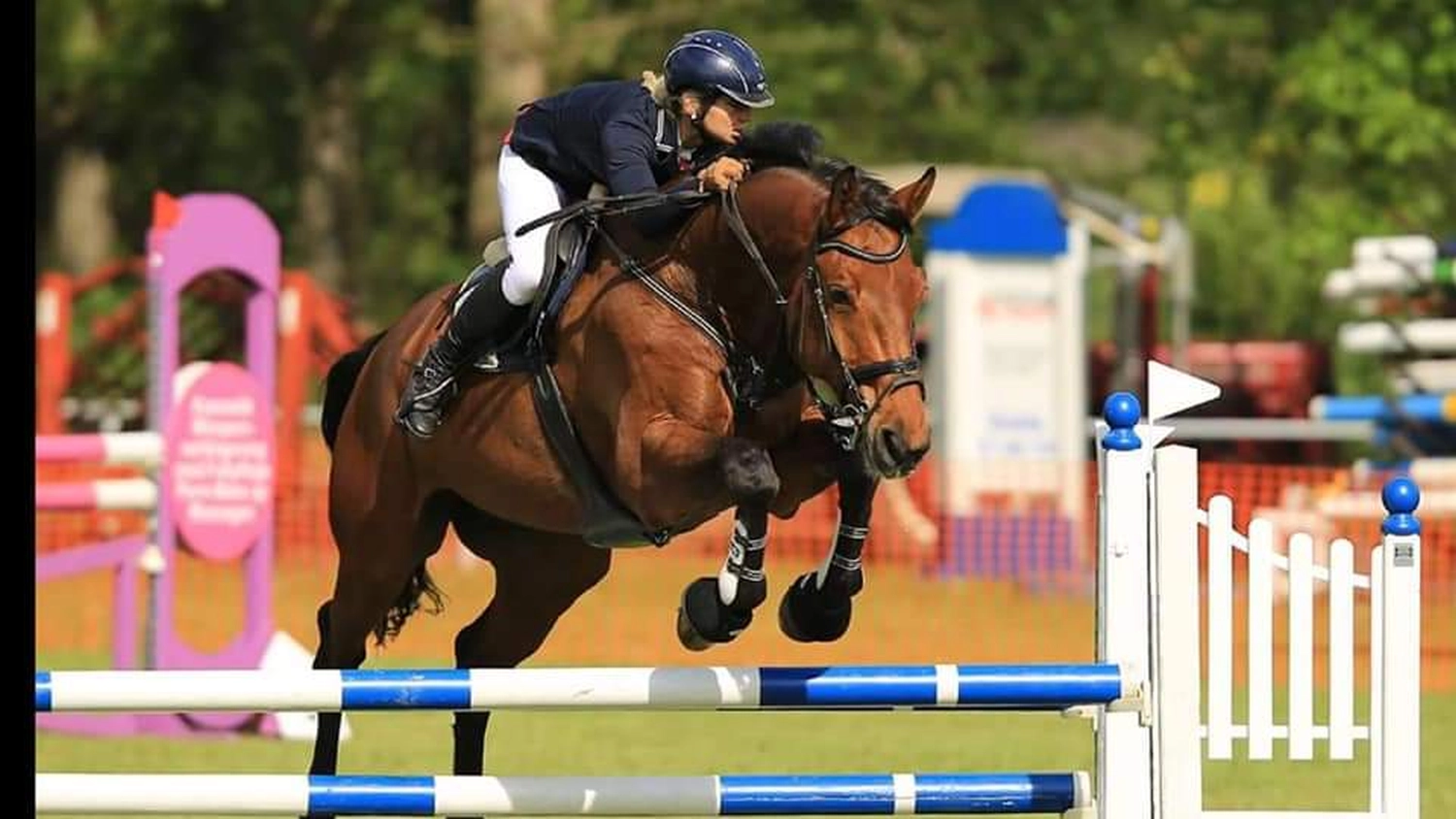 Reitsport Bachmann - Reiten/Turnier Präsentationsbild