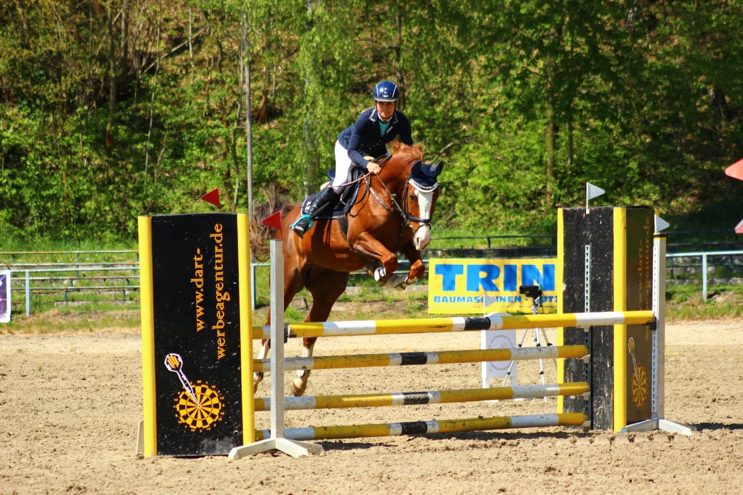 Reitsport Bachmann - Reiten/Turnier Präsentationsbild