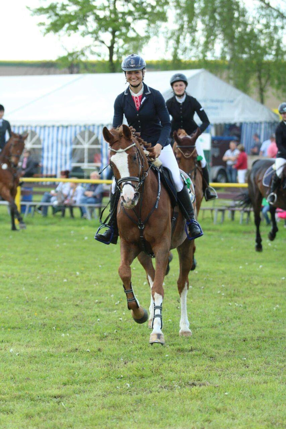 Reitsport Bachmann - Reiten/Turnier Präsentationsbild
