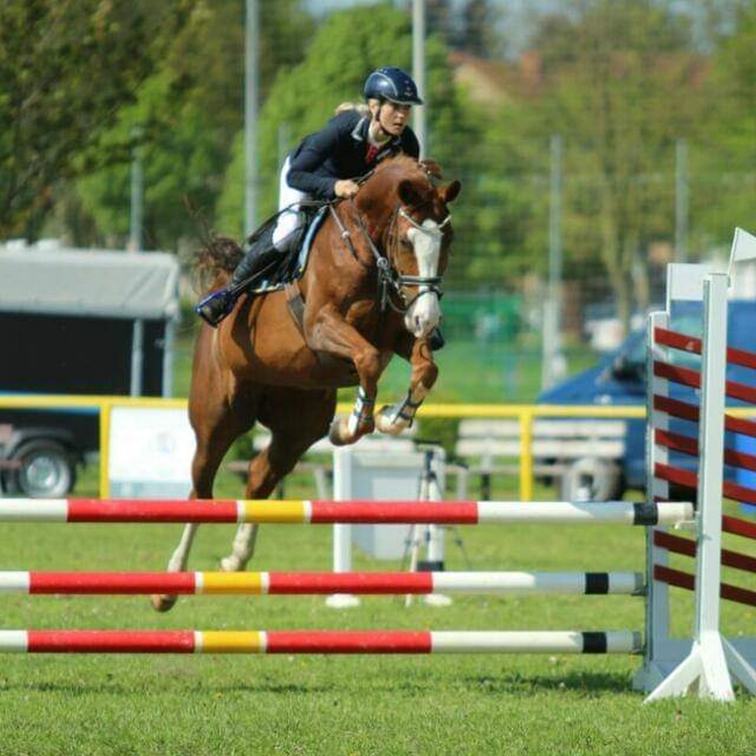 Reitsport Bachmann - Reiten/Turnier Präsentationsbild