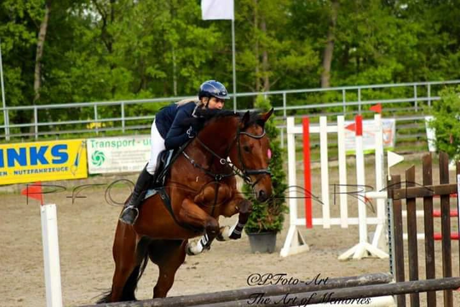 Reitsport Bachmann - Reiten/Turnier Präsentationsbild