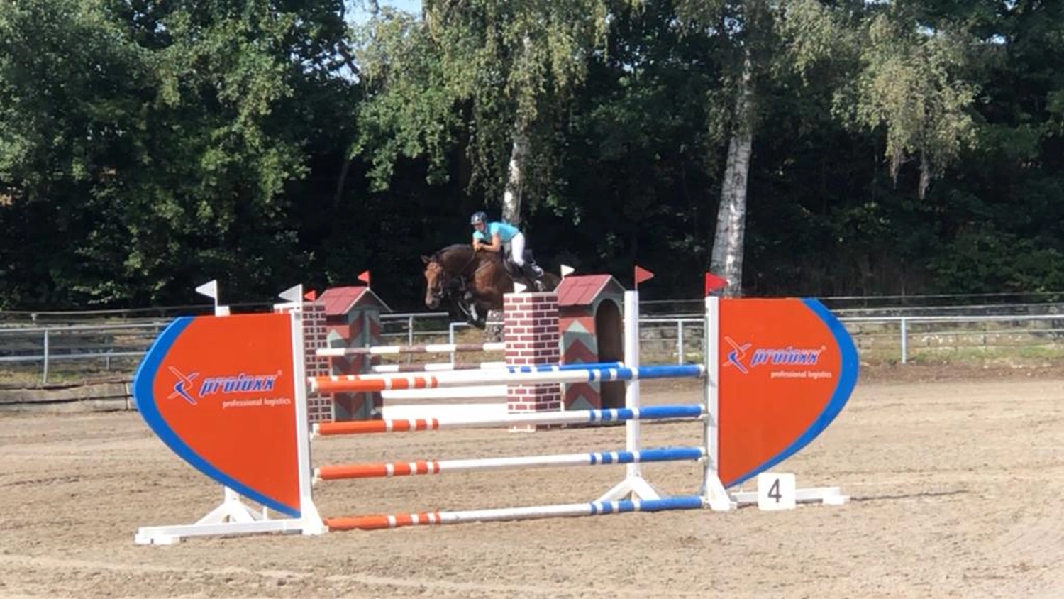 Reitsport Bachmann - Reiten/Turnier Präsentationsbild