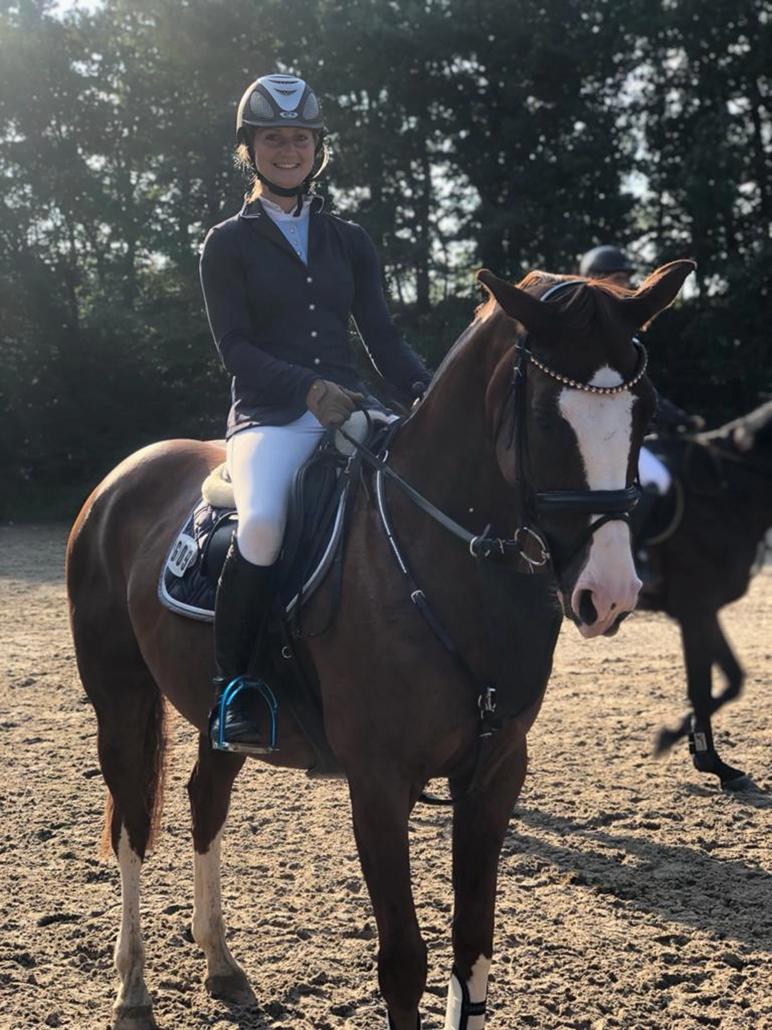 Reitsport Bachmann - Reiten/Turnier Präsentationsbild