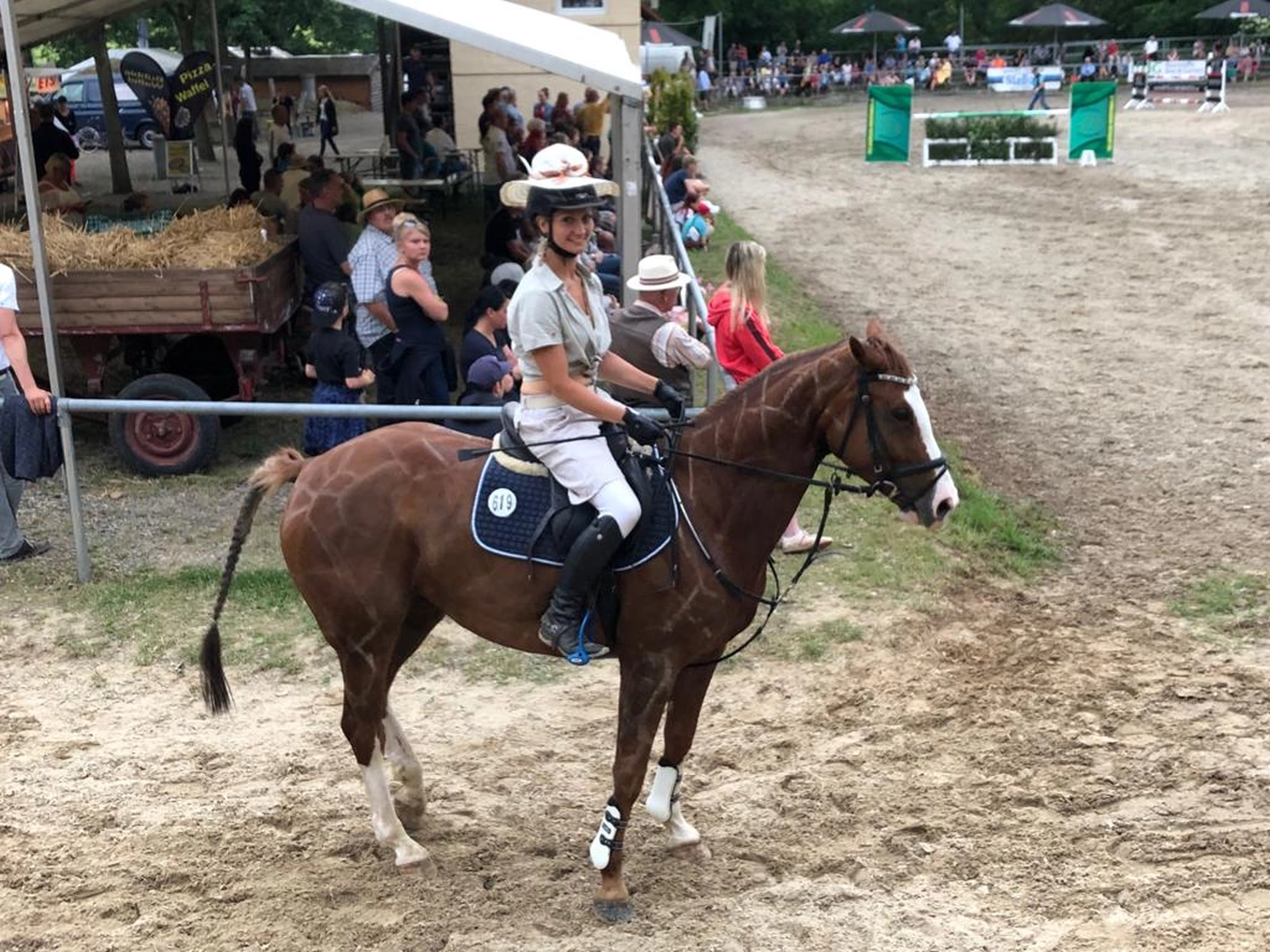 Reitsport Bachmann - Reiten/Turnier Präsentationsbild