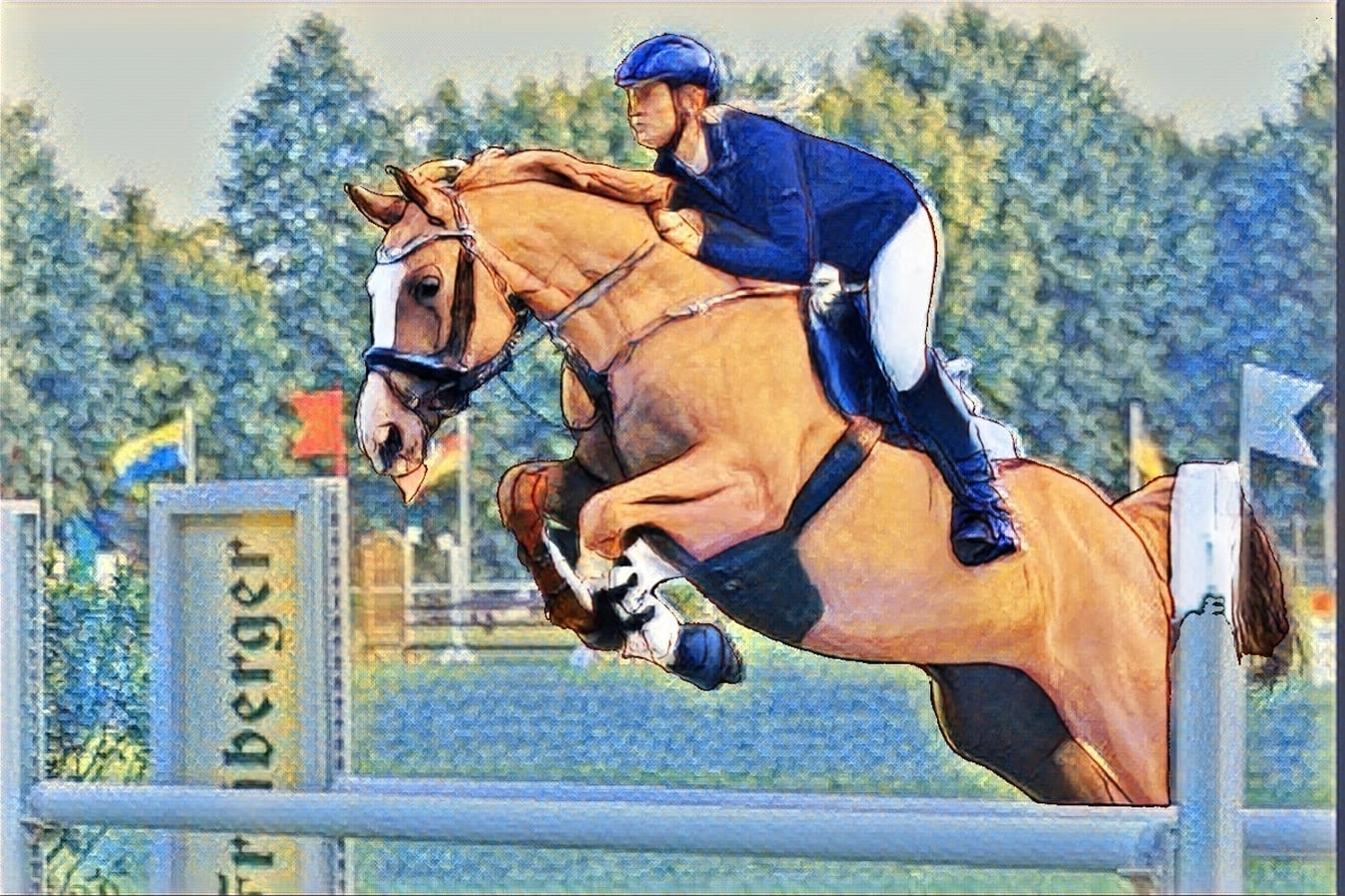Reitsport Bachmann - Reiten/Turnier Präsentationsbild