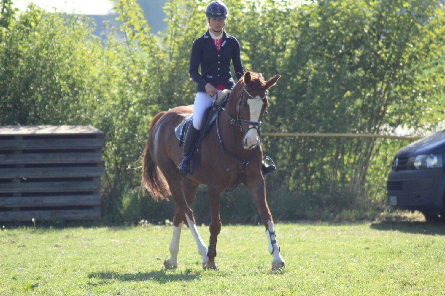 Reitsport Bachmann - Reiten/Turnier Präsentationsbild
