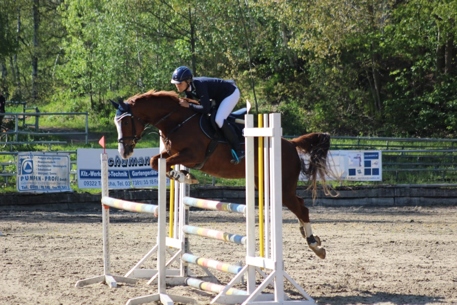 Reitsport Bachmann - Reiten/Turnier Präsentationsbild