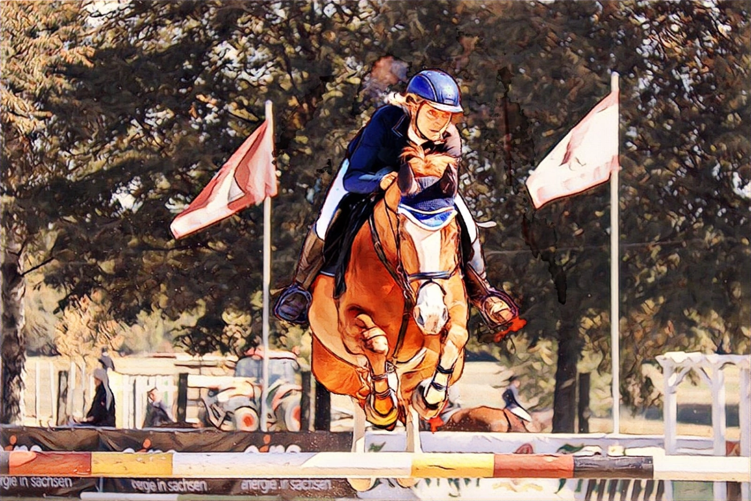Reitsport Bachmann - Reiten/Turnier Präsentationsbild