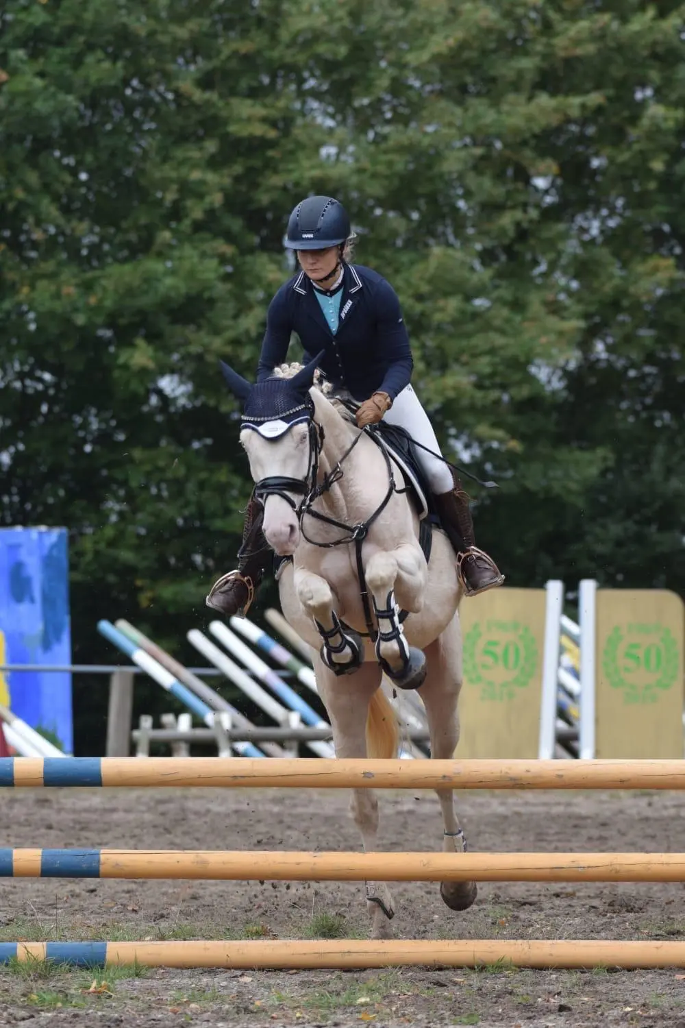 Reitsport Bachmann - Schulpferde, Melchen