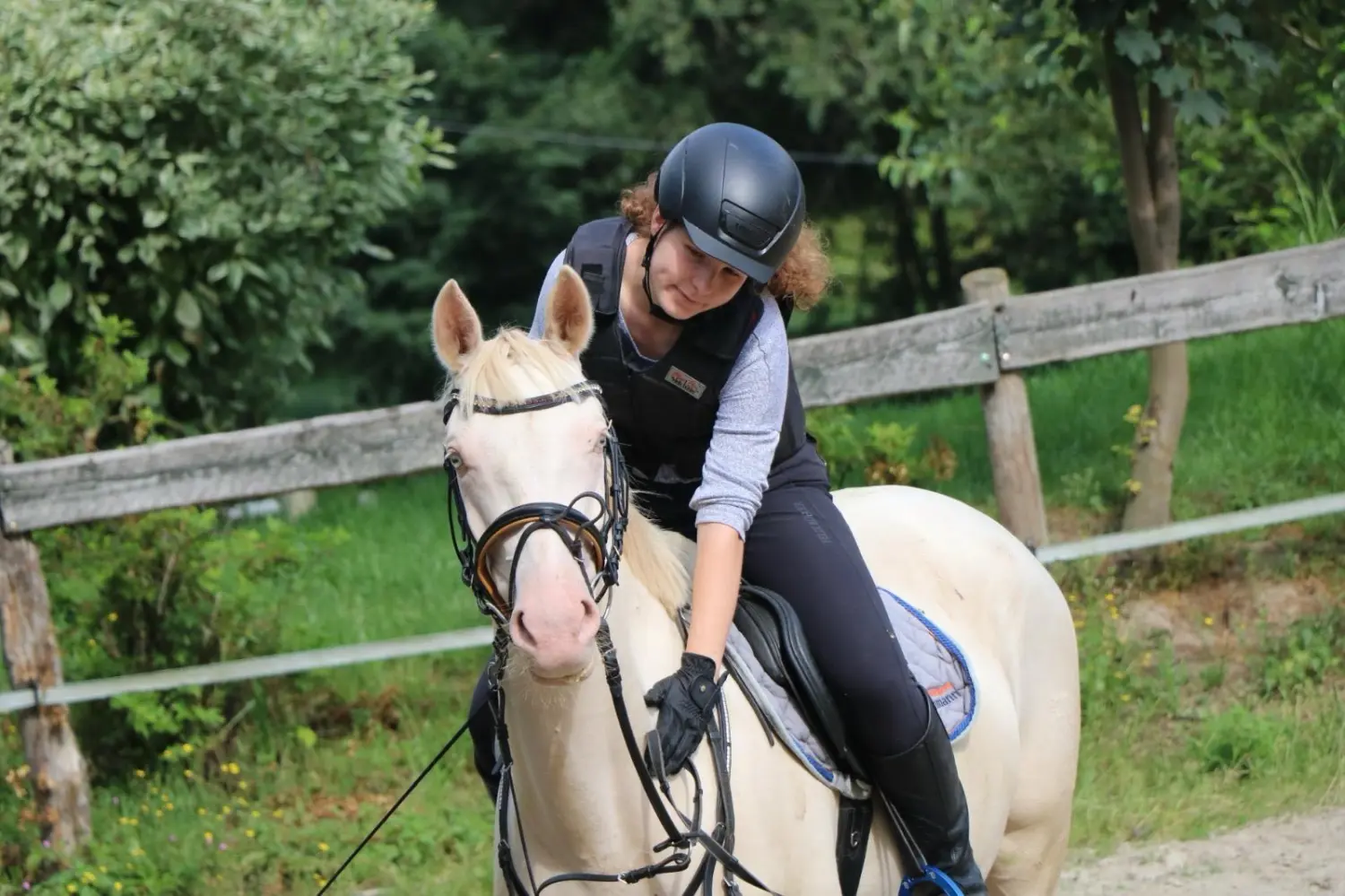 Reitsport Bachmann - Schulpferde, Melchen