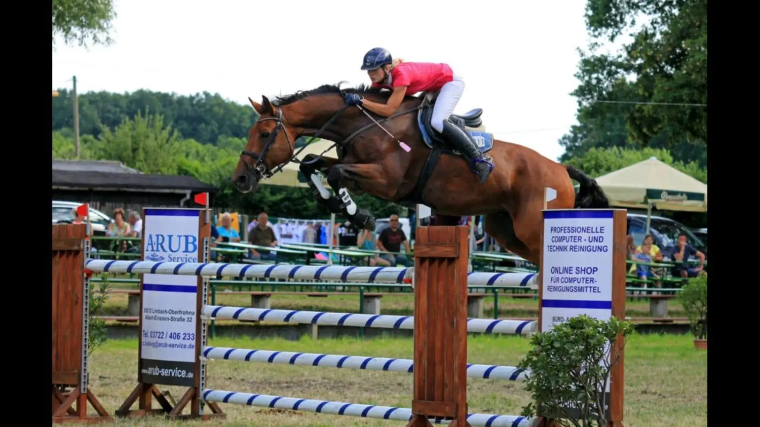 Reitsport Bachmann - Schulpferde, Celibi