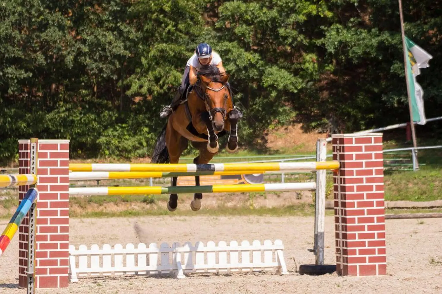Reitsport Bachmann - Springtraining