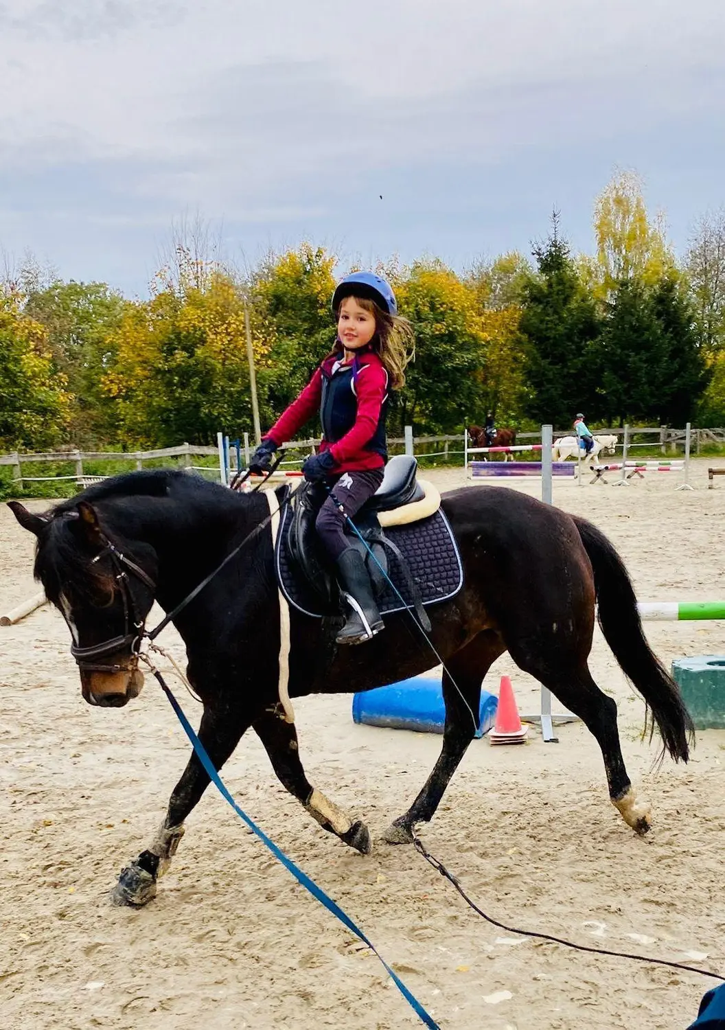 Reitsport Bachmann - Schulpferde, Citty