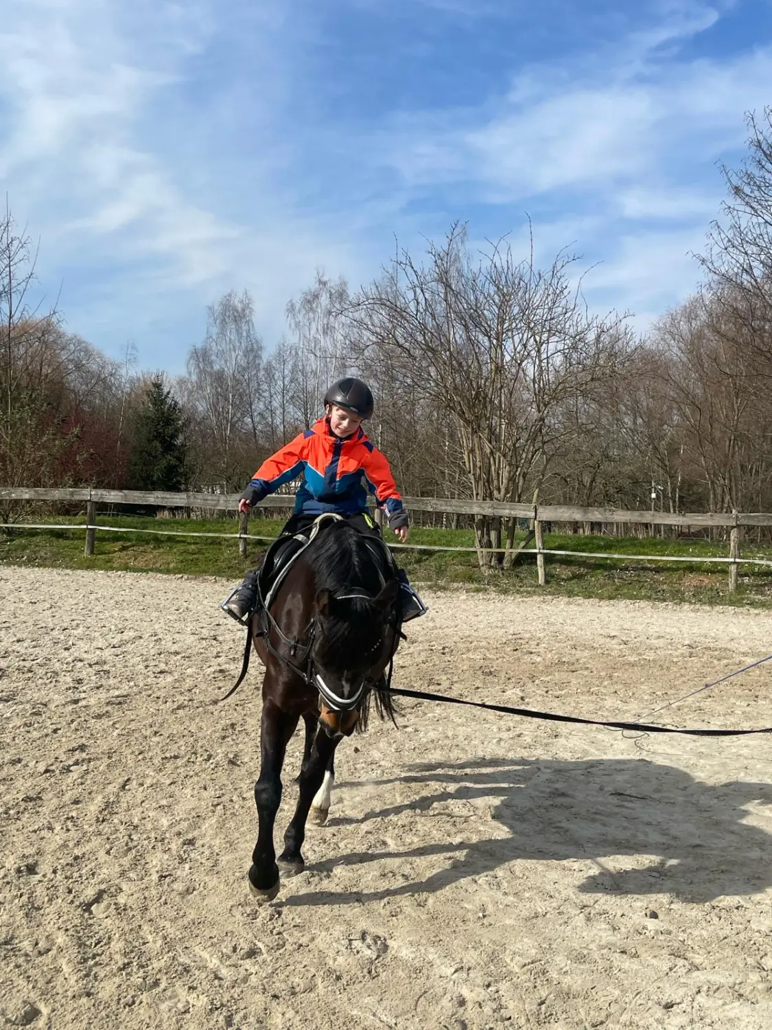 Reitsport Bachmann - Schulpferde, Citty