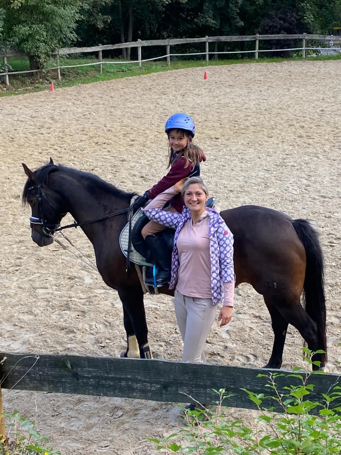 Reitsport Bachmann - Schulpferde, Citty
