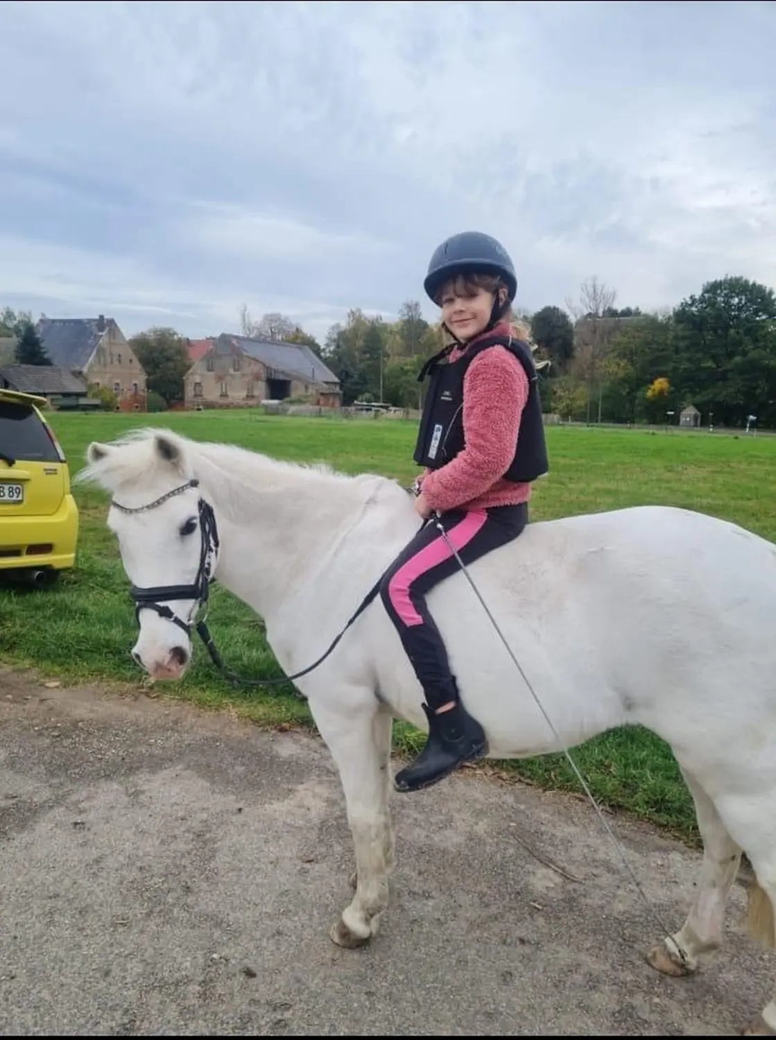 Reitsport Bachmann - Schulpferde, Daysi