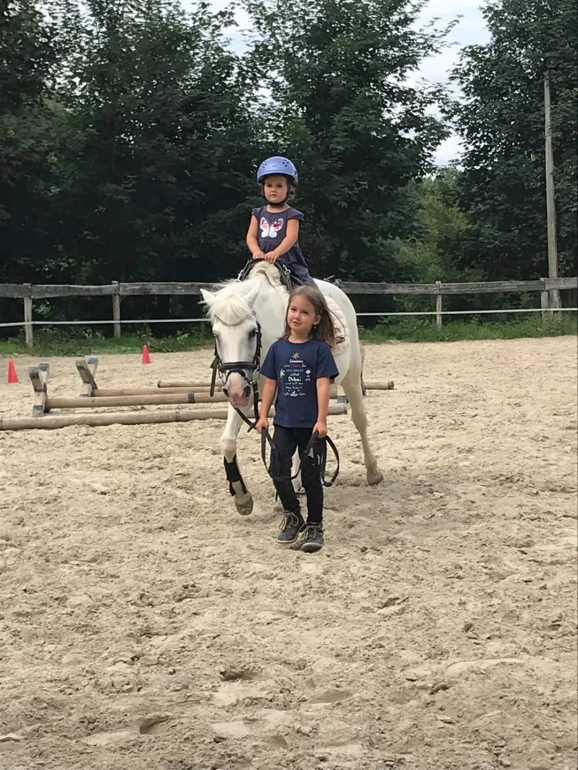 Reitsport Bachmann - Schulpferde, Daysi