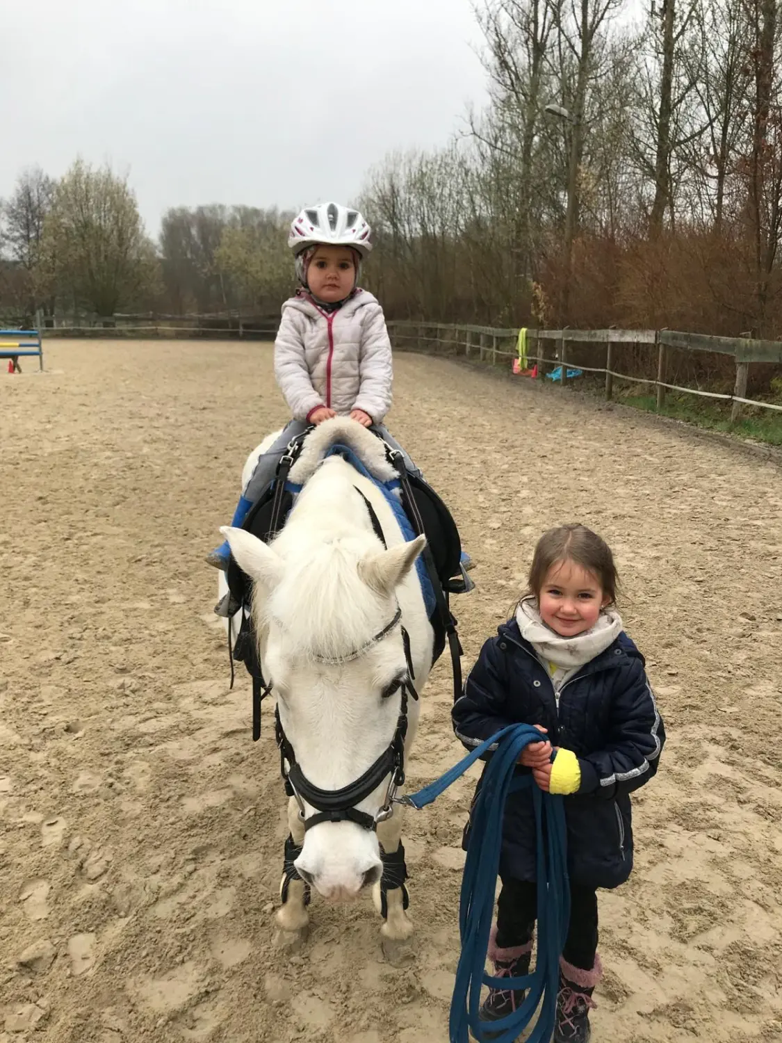 Reitsport Bachmann - Schulpferde, Daysi