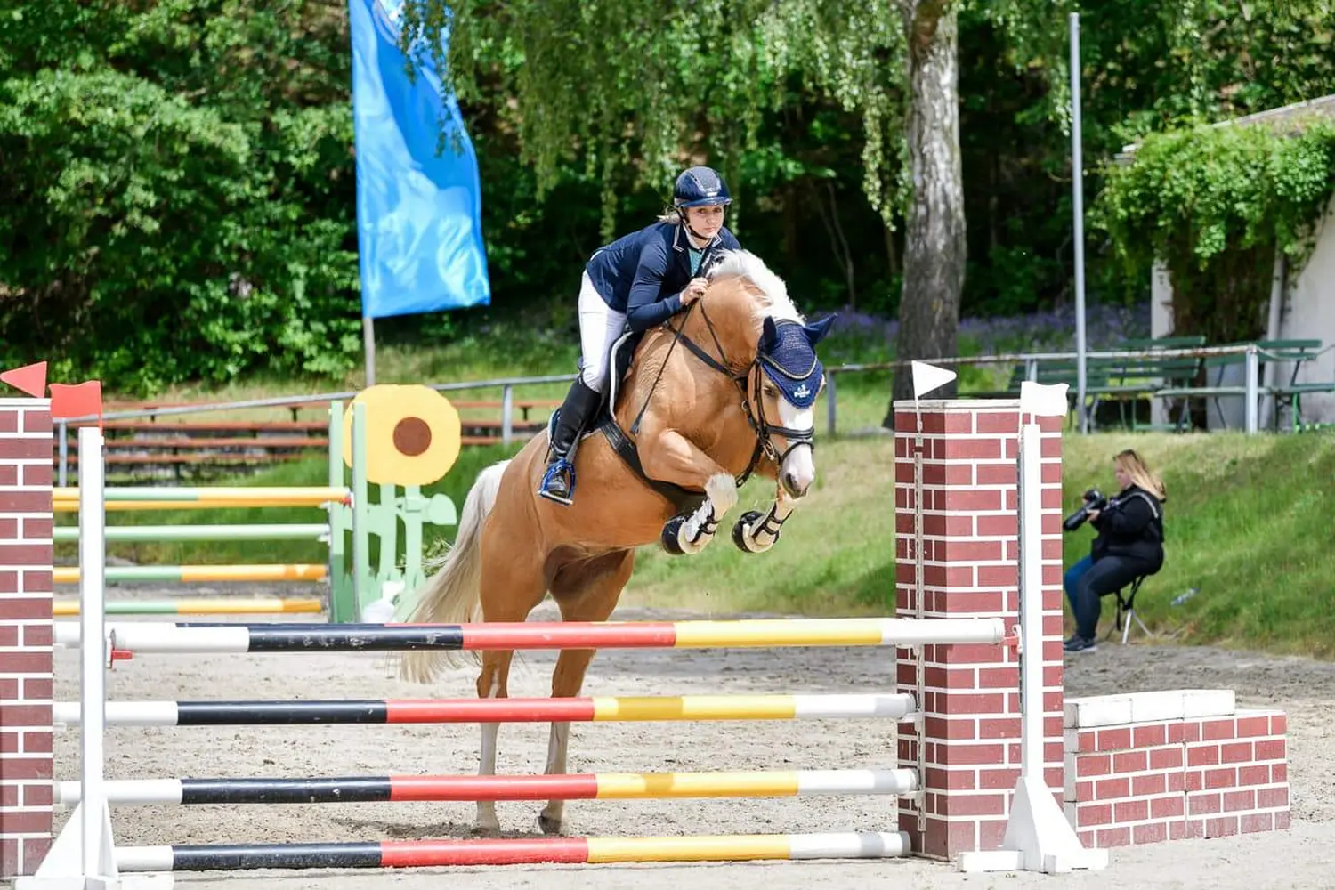 Reitsport Bachmann - Pferdespringen 