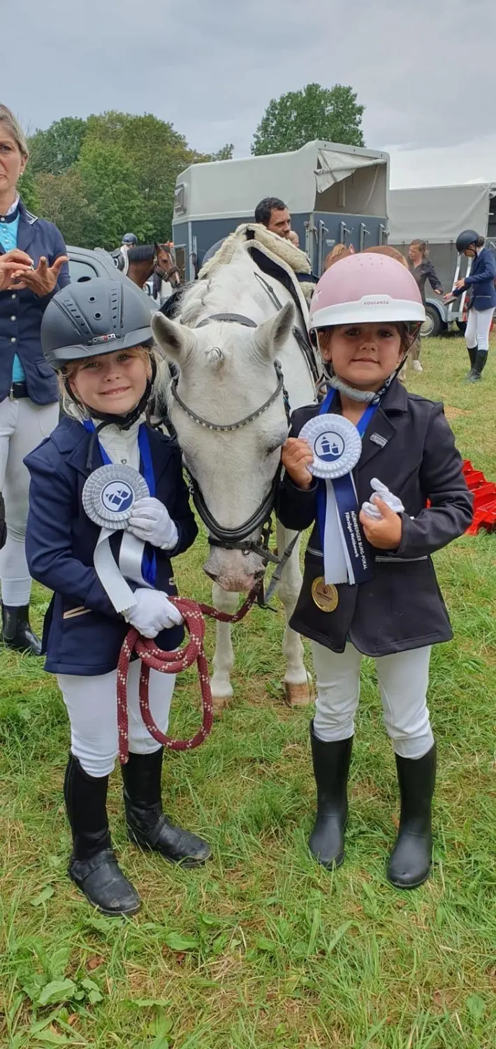 Reitsport Bachmann - Turnieranleitung und Turniervorstellung (Beritt)