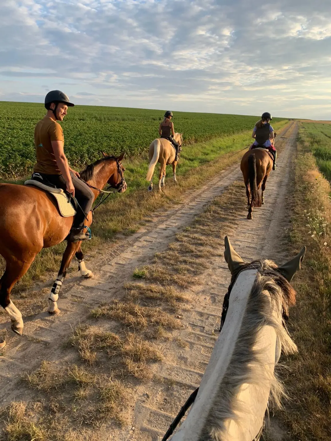 Reitsport Bachmann - Reiten in der Gruppe