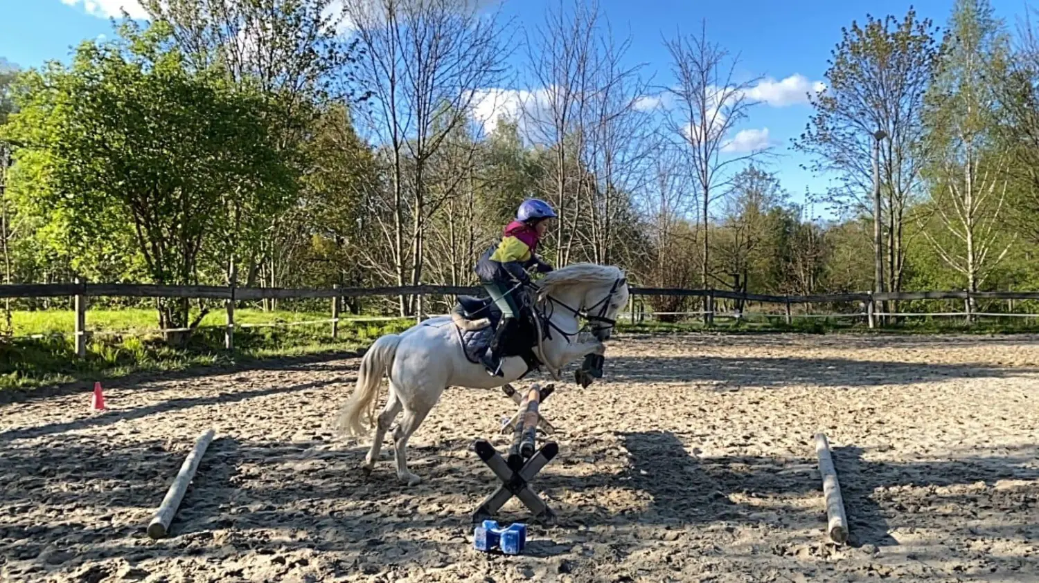 Reitsport Bachmann - Springtraining