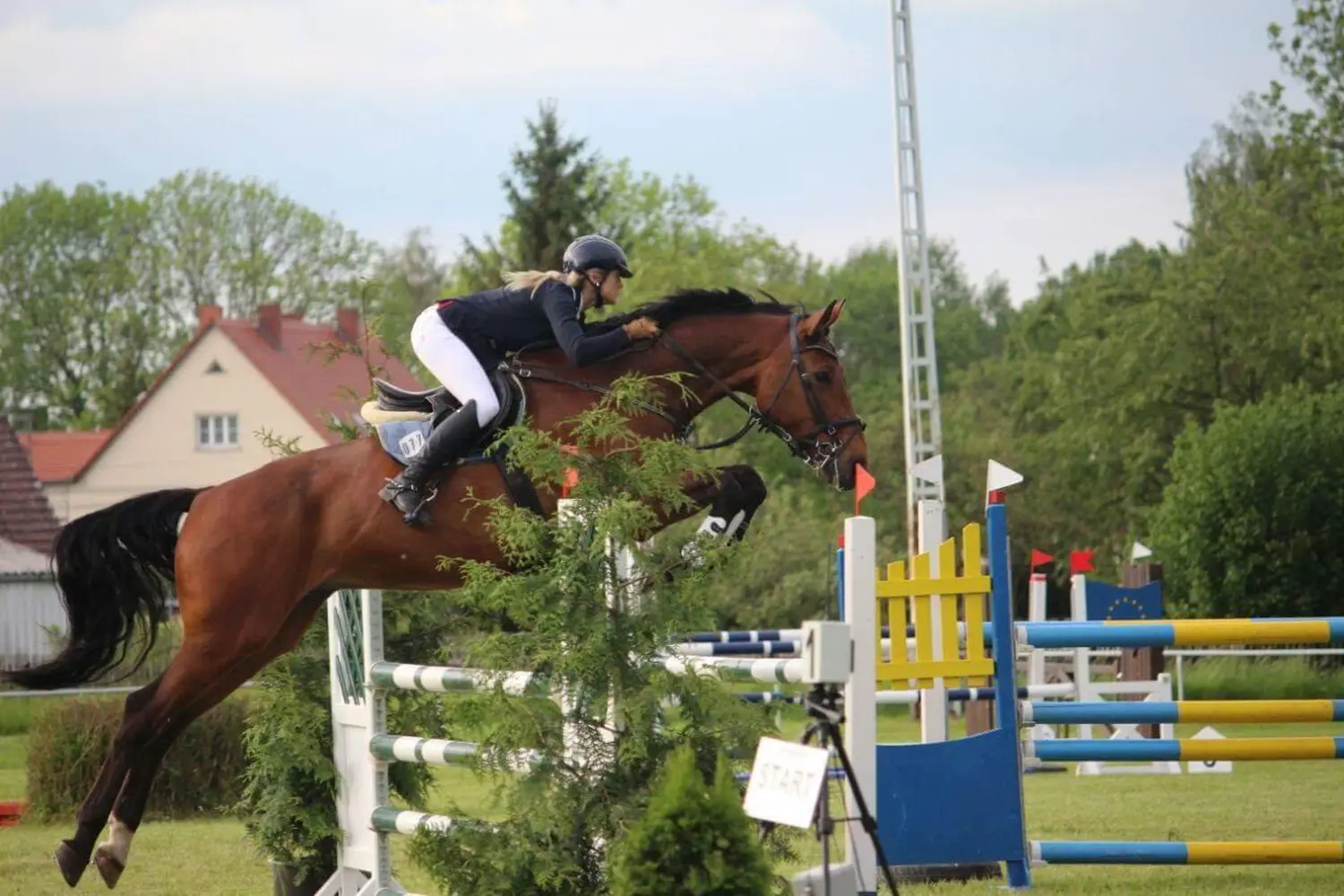 Reitsport Bachmann - Reitsprung
