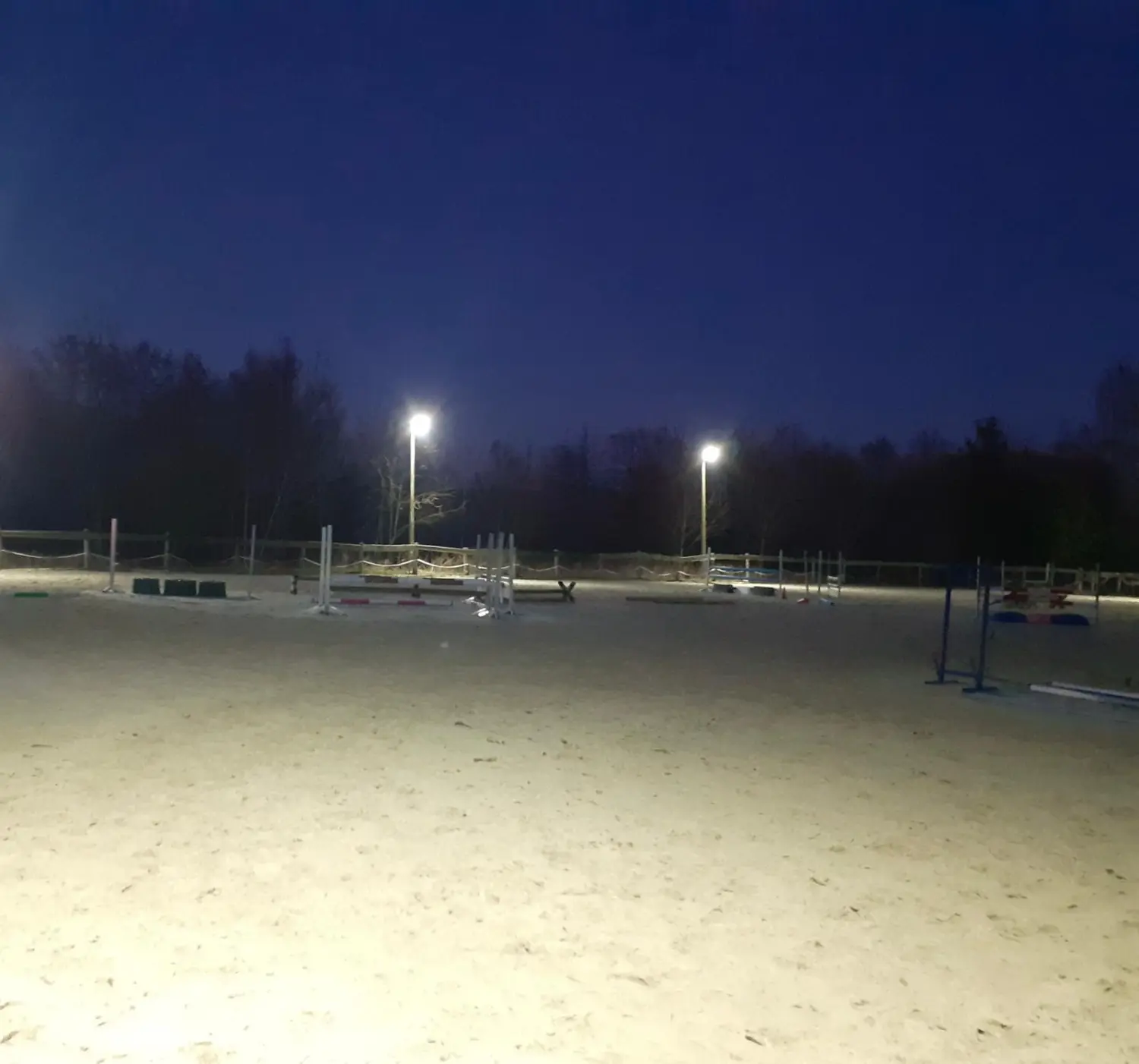 Reitsport Bachmann - Hofvorstellung 