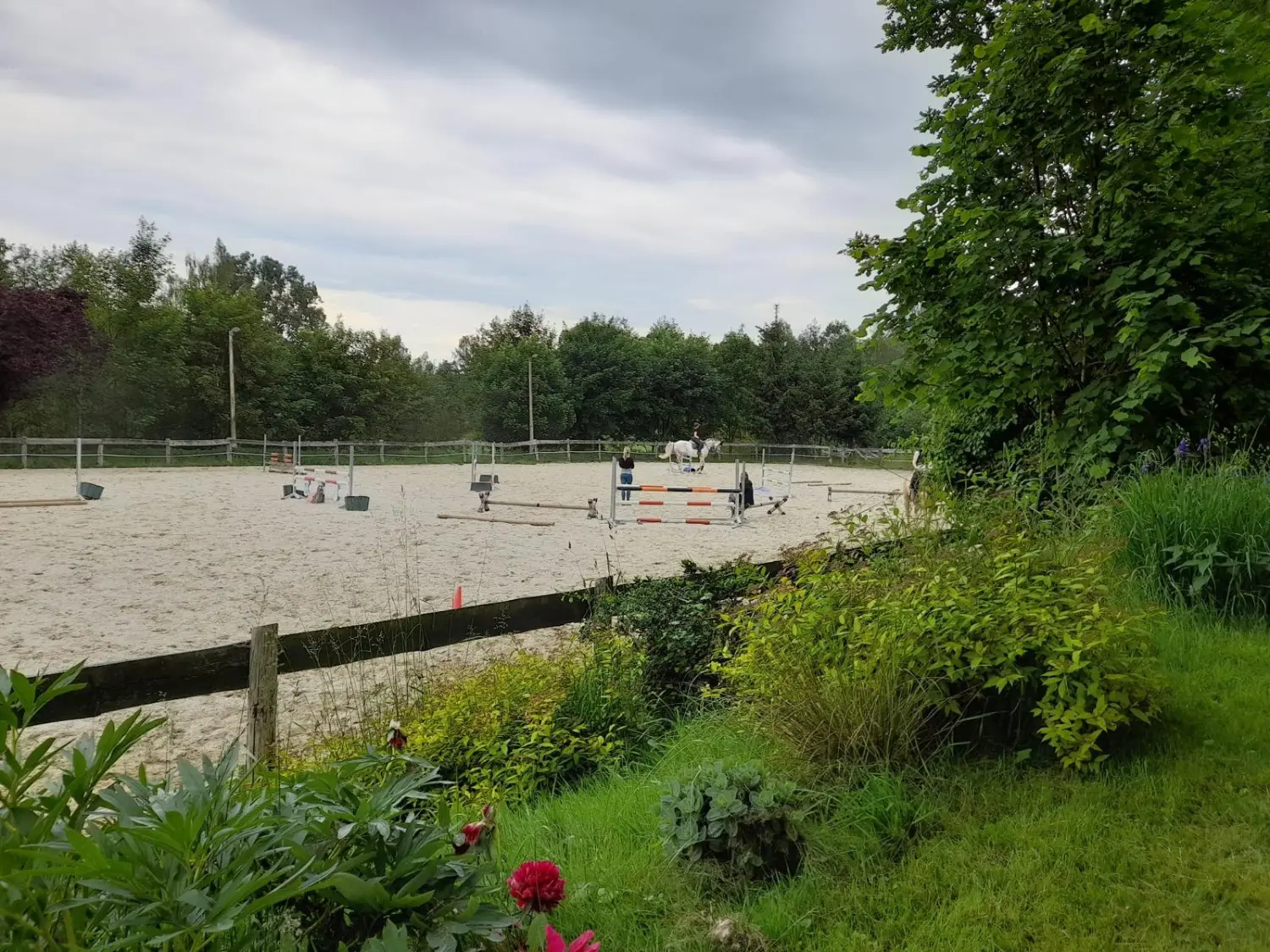 Reitsport Bachmann - Hofvorstellung 
