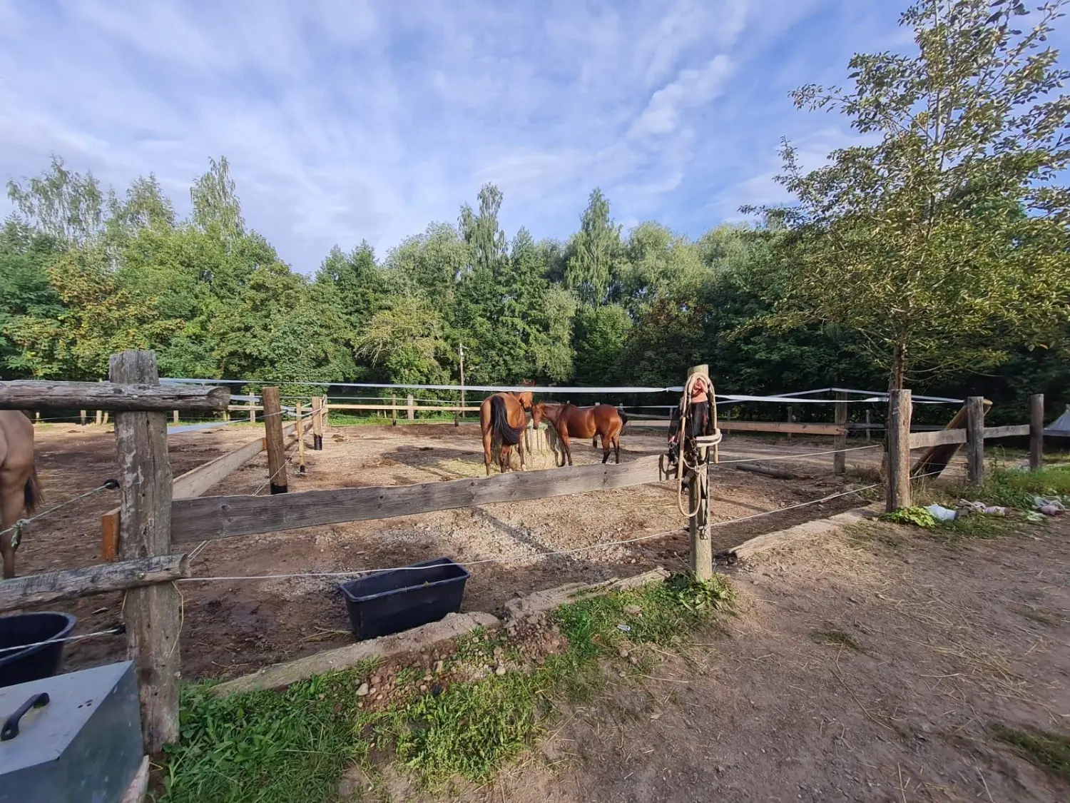 Reitsport Bachmann - Pferdefütterung im Hof