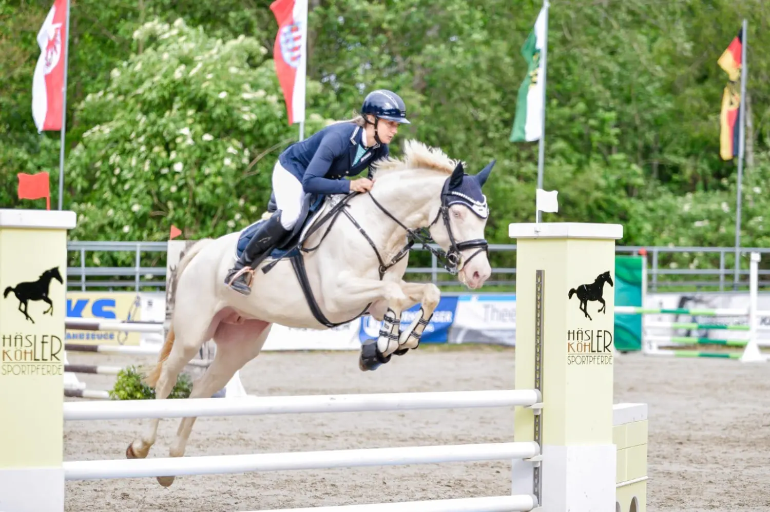 Reitsport Bachmann - Reitpferde Präsentation Bild