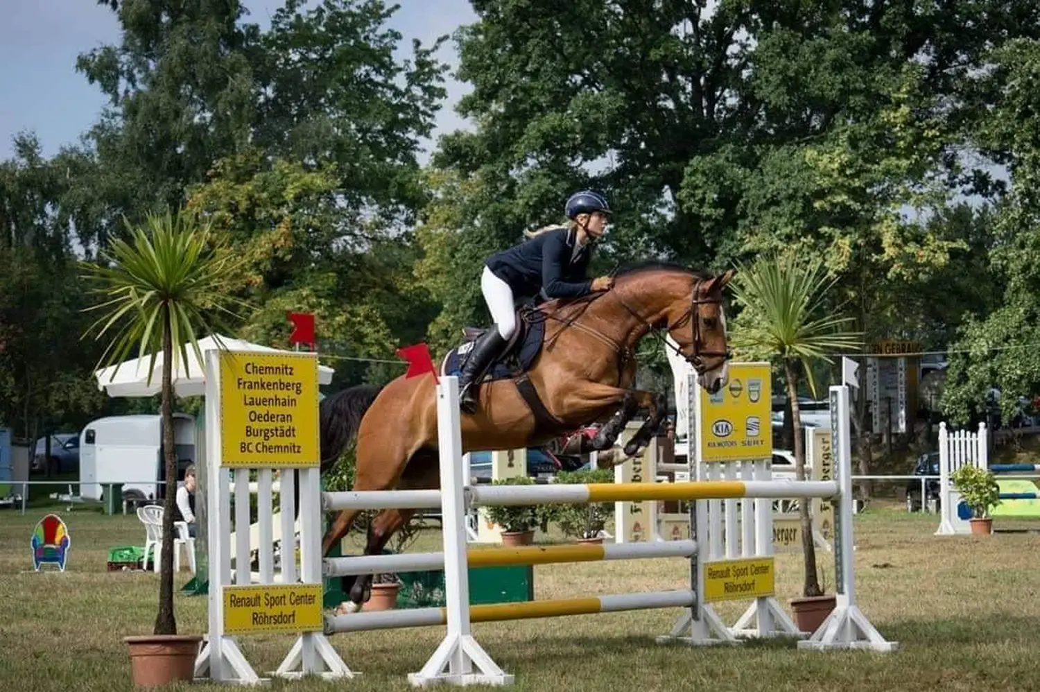 Reitsport Bachmann - Reitpferde Präsentation Bild