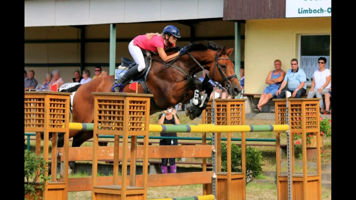 Reitsport Bachmann - Reitpferde Präsentation Bild
