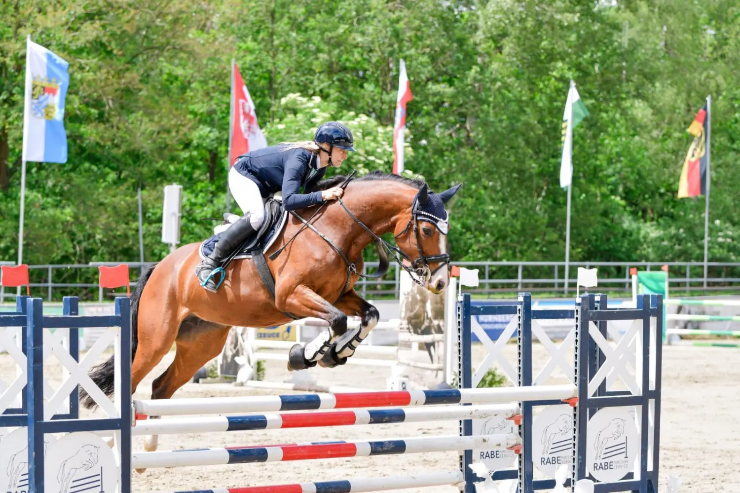 Reitsport Bachmann - Reitpferde Präsentation Bild