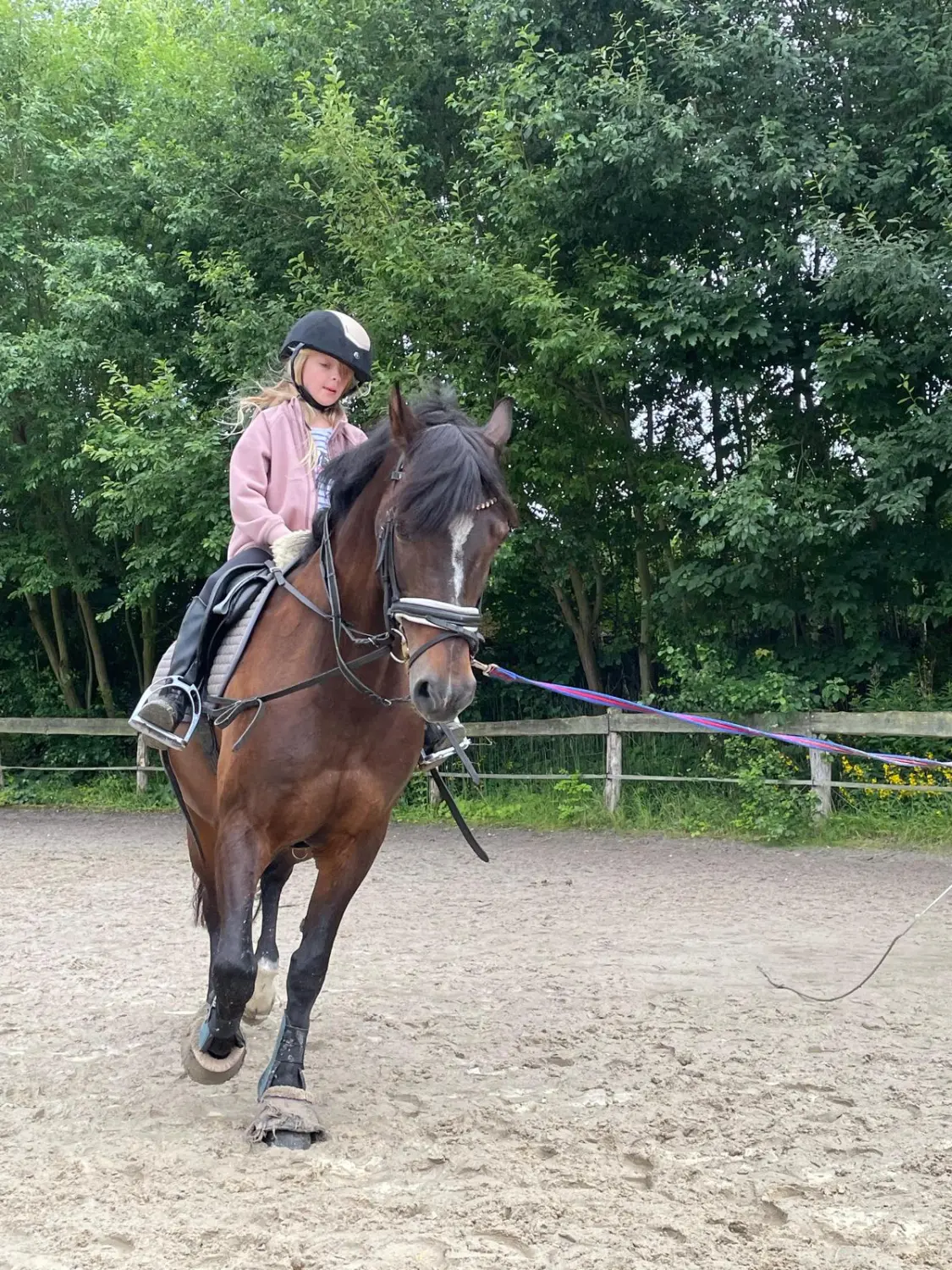 Reitsport Bachmann - Anfängerunterricht