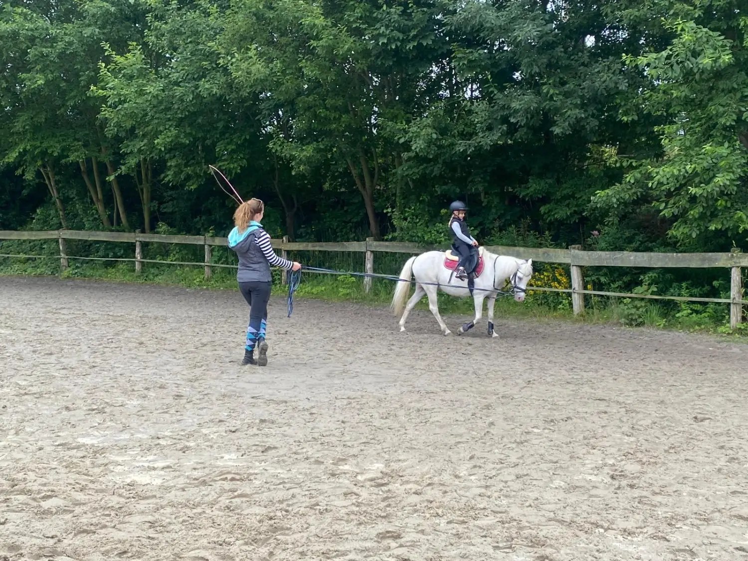 Reitsport Bachmann - Anfängerunterricht