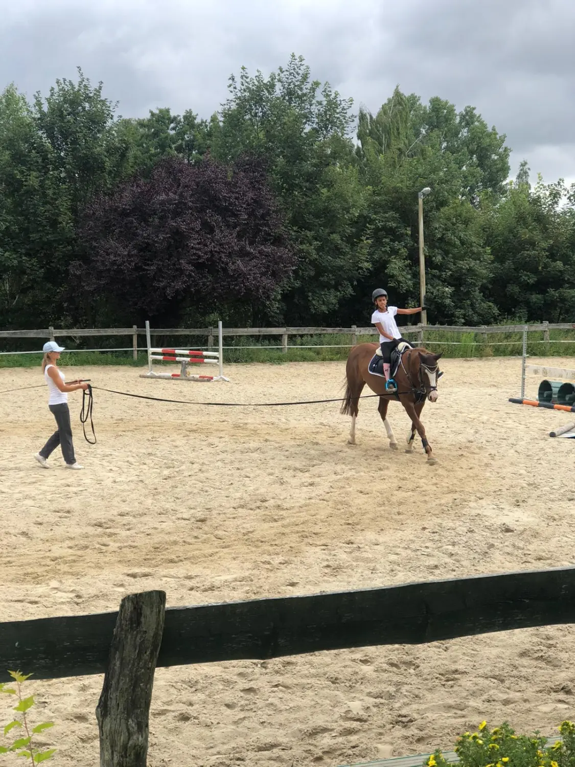 Reitsport Bachmann - Anfängerunterricht