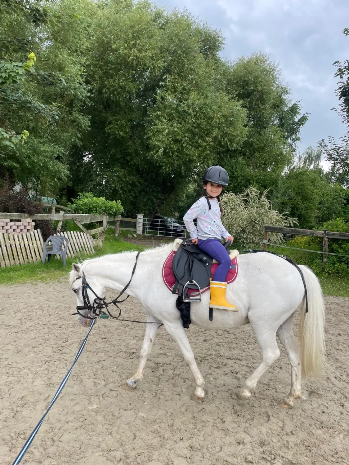 Reitsport Bachmann - Anfängerunterricht