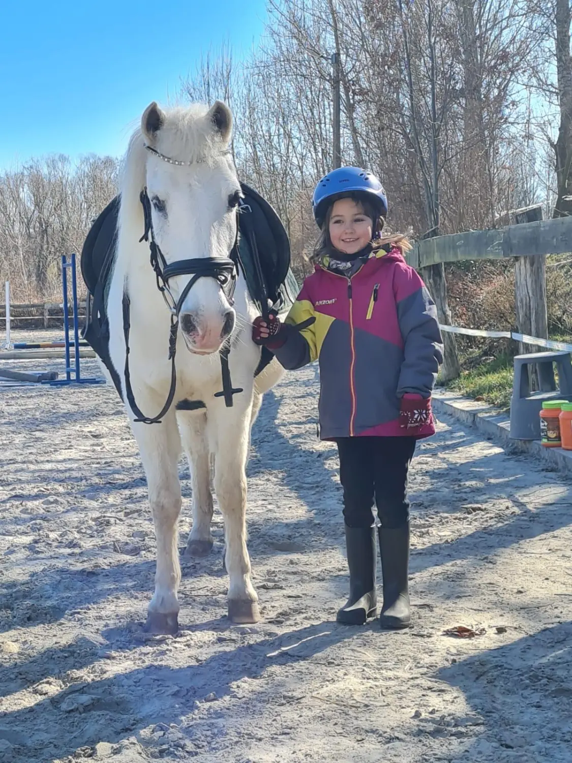Reitsport Bachmann - Anfängerunterricht