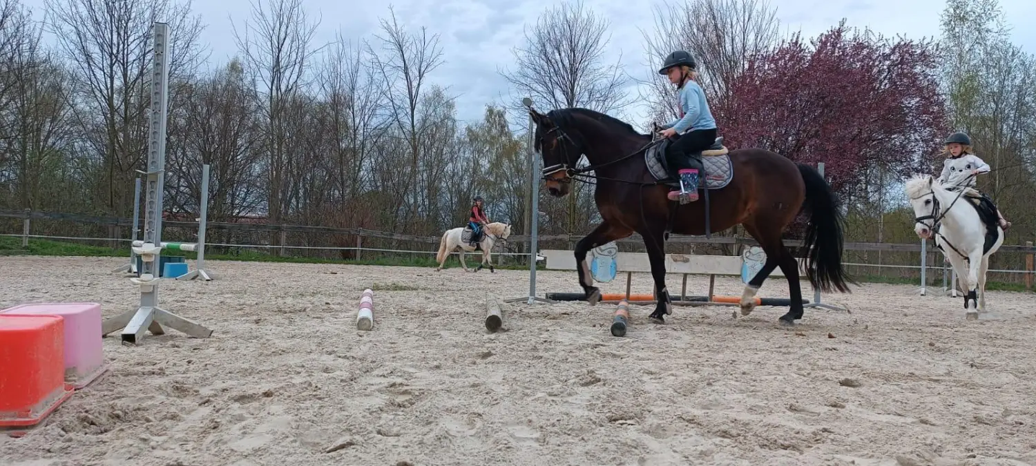 Reitsport Bachmann - Fortgeschrittenenunterricht für Kinder