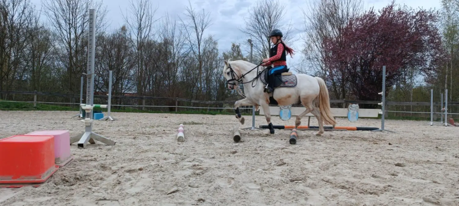 Reitsport Bachmann - Fortgeschrittenenunterricht für Kinder