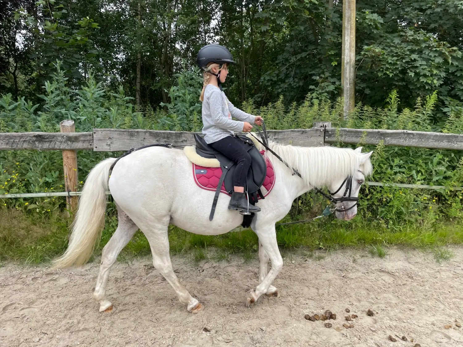 Reitsport Bachmann - Fortgeschrittenenunterricht für Kinder