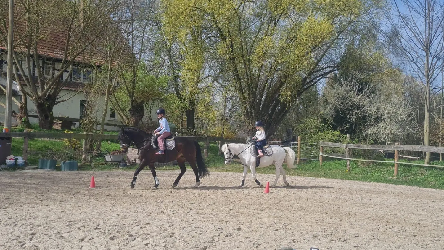 Reitsport Bachmann - Fortgeschrittenenunterricht für Kinder